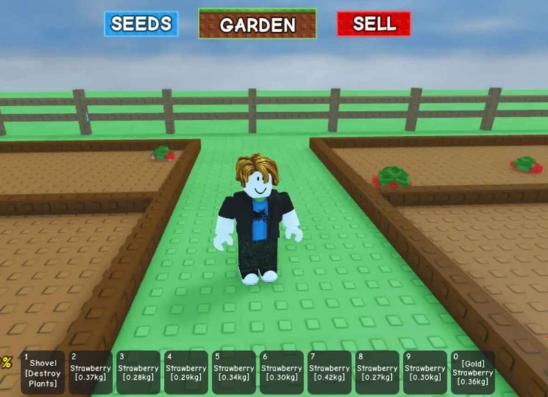 cách kiếm tiền nhanh trong Grow A Garden hình 5