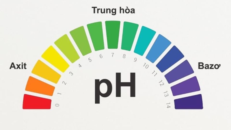 Kiểm tra độ pH của nước