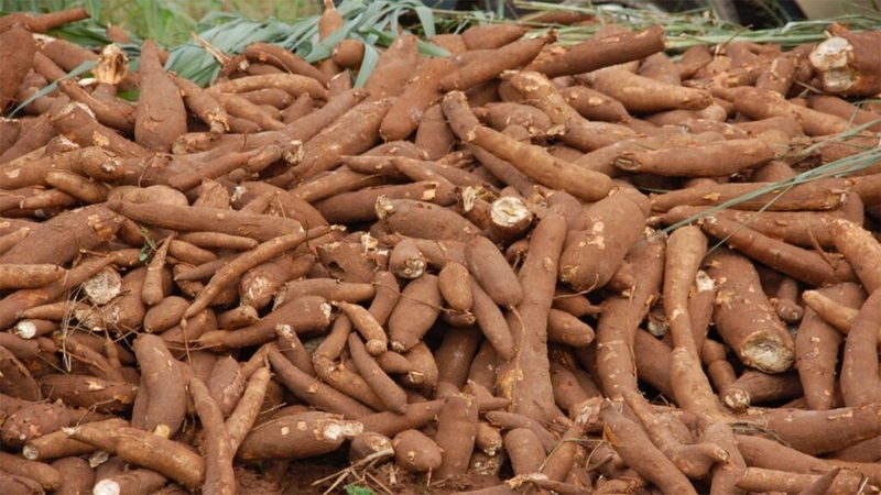 cách làm bánh rế 9