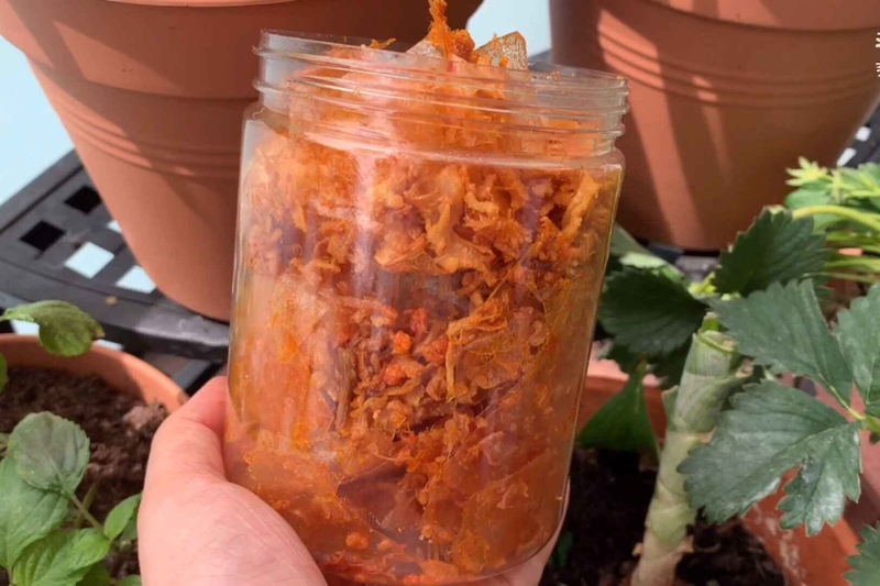 cách làm bánh tráng chà bông hình 8