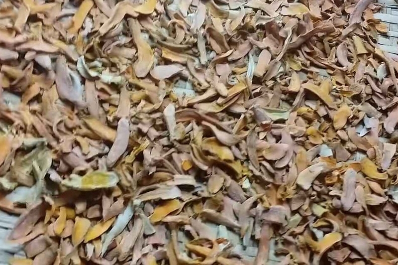 Nghệ sau khi phơi đạt yêu cầu