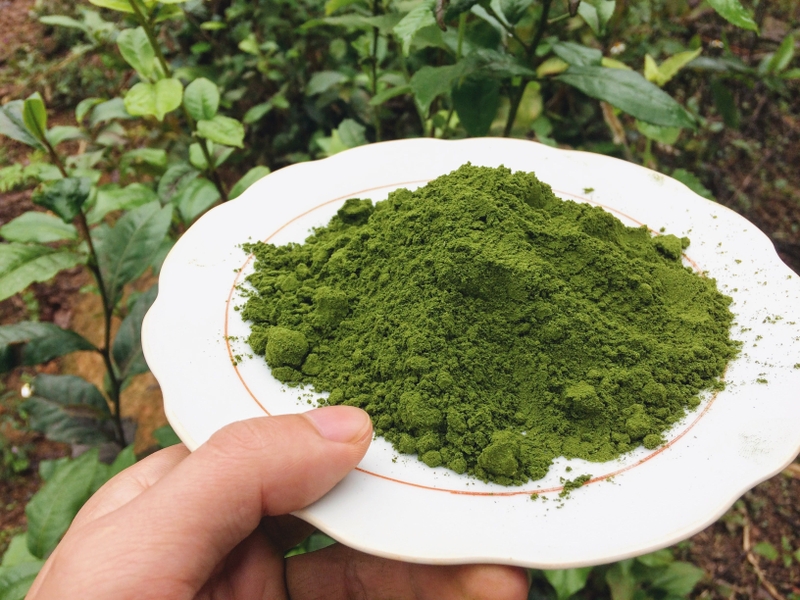Cách làm bột trà xanh 1