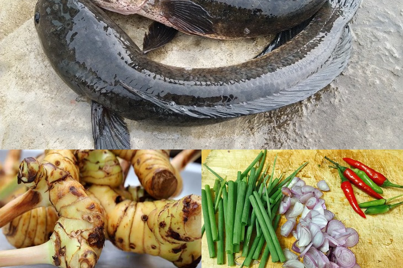 cá lóc kho riềng (hình 1)
