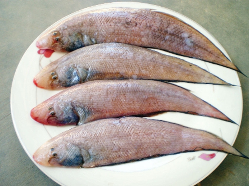Cách làm cá lưỡi trâu chiên 2
