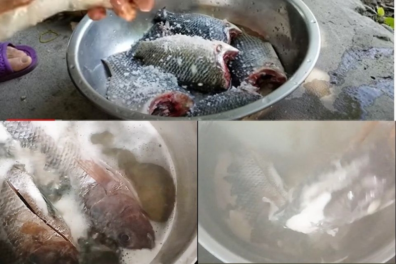 Dùng muối hạt và nửa quả chanh chà xát khắp thân cá