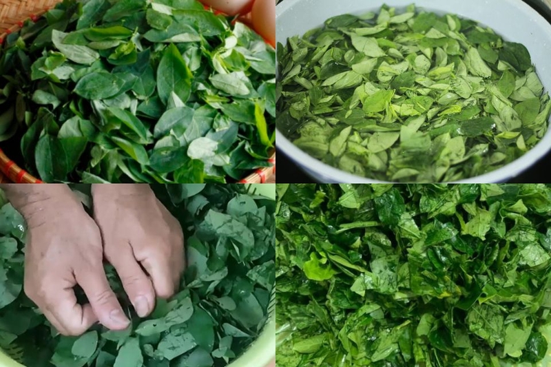 Sơ chế rau ngót
