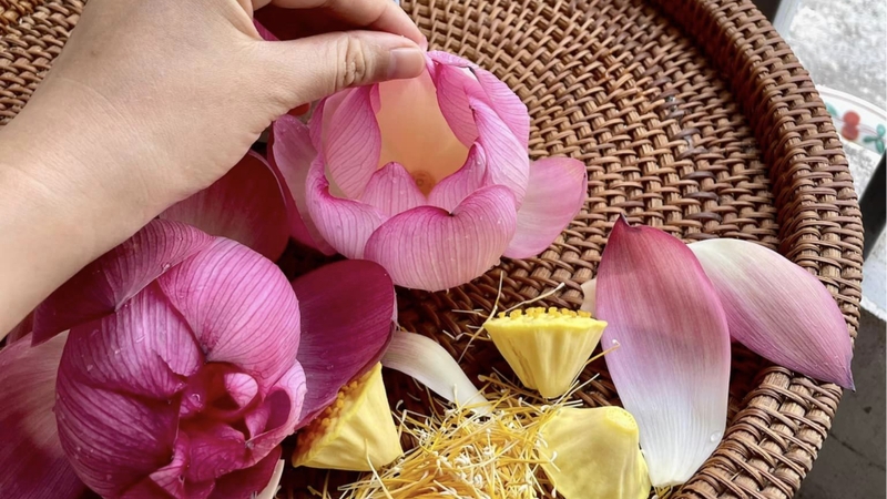 Sơ chế hoa sen