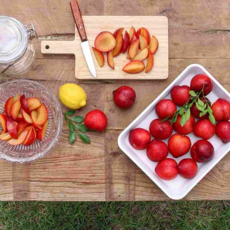 Những nguyên liệu cần chuẩn bị
