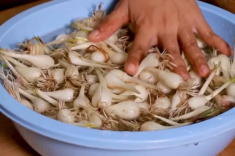 Cách làm củ kiệu 3