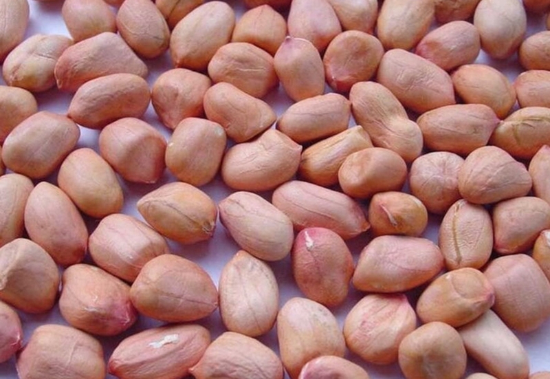 Cách làm dầu lạc từ máy ép chậm - 03