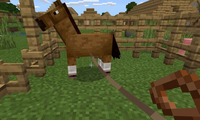 cách làm dây thừng trong Minecraft hình 6