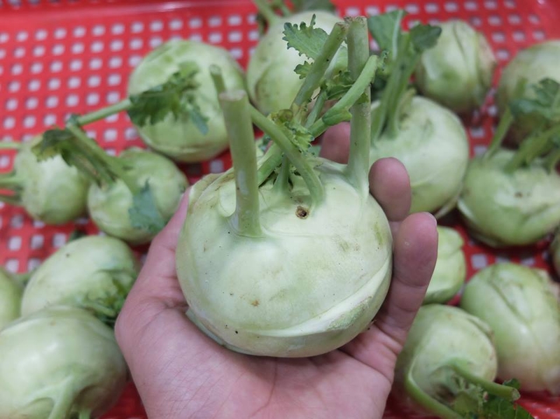 cách làm dưa góp su hào (hình 2)