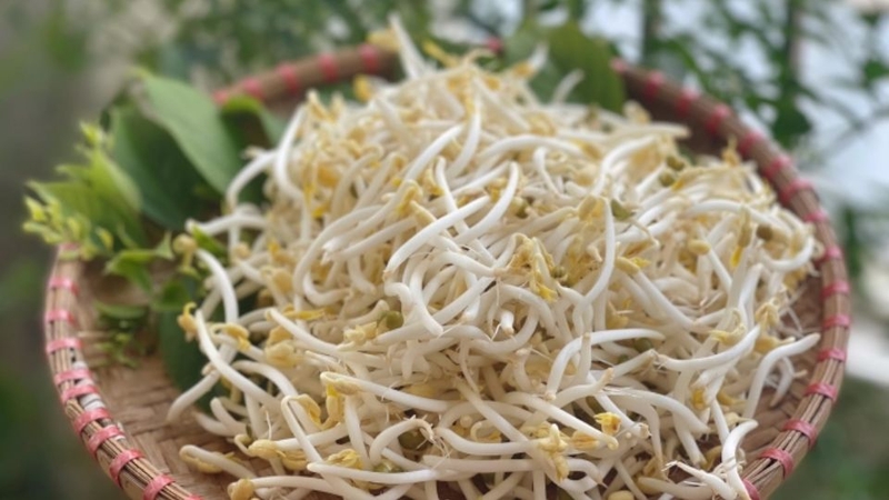 cách làm giá đỗ không cần tưới nước 1