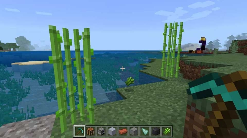 Cách chế tạo giấy trong Minecraft - 06