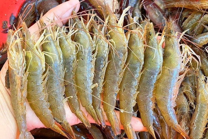 gỏi đu đủ tôm đất ảnh 20