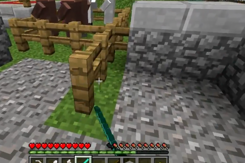 Cách làm hàng rào trong Minecraft (6)