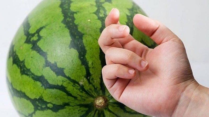 cách làm kem dưa hấu bằng máy ép chậm hình 8