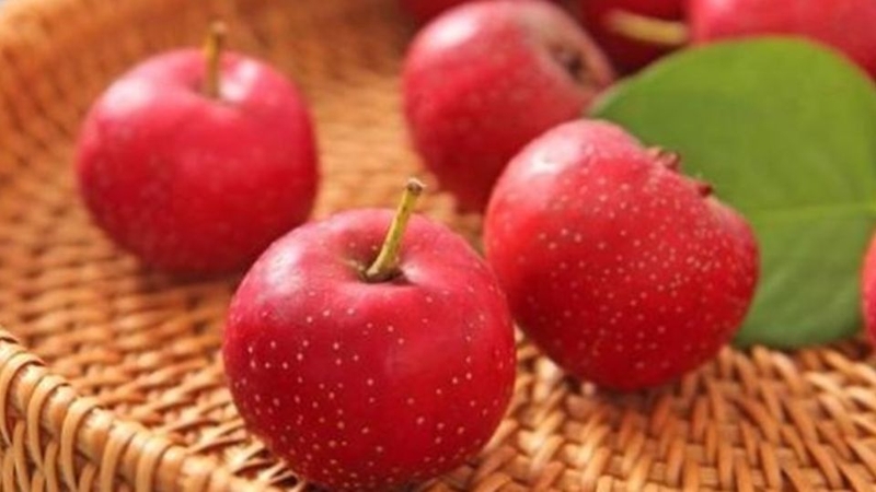Lợi ích sức khỏe của trái táo gai
