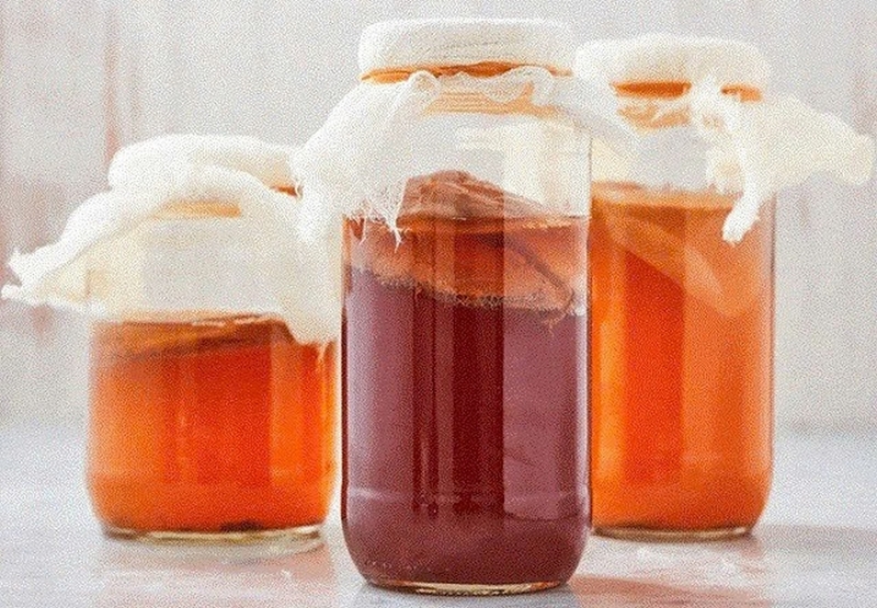 cách làm kombucha ảnh 4