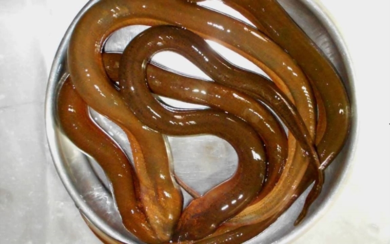 cách làm lươn khô 1