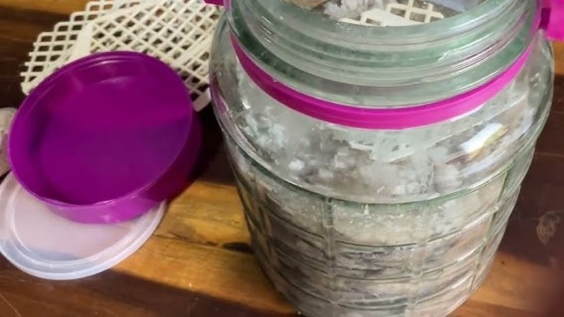 Bước 3: Xếp cá vào lọ hoặc chum