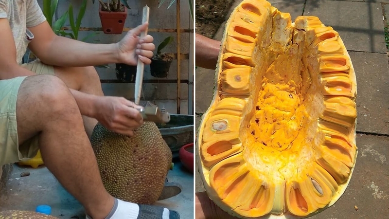 Cách làm mít nhanh chín 6
