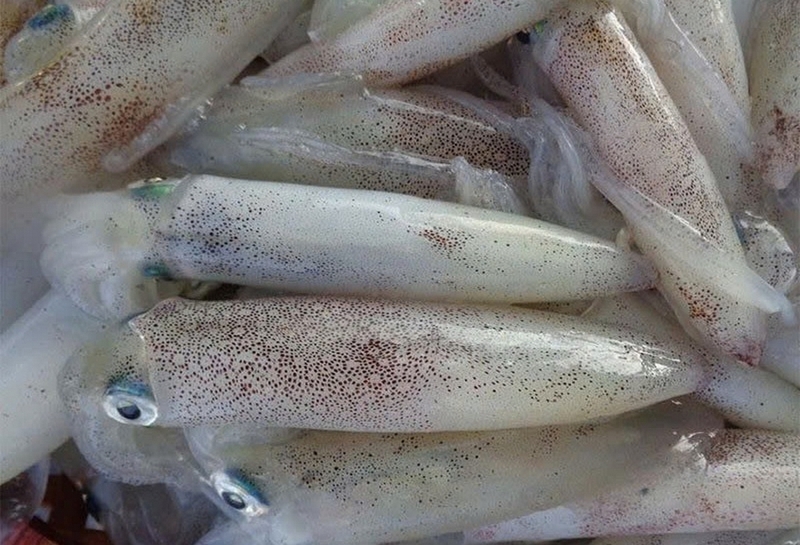 cách làm mực nấu rối ảnh 1