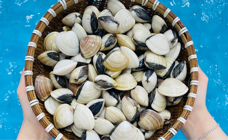 cách làm ngao xào me - ngao tươi