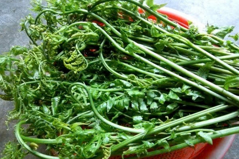 Cách làm nộm rau dớn ảnh 2