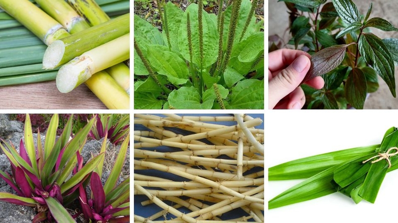 Nguyên liệu cần chuẩn bị