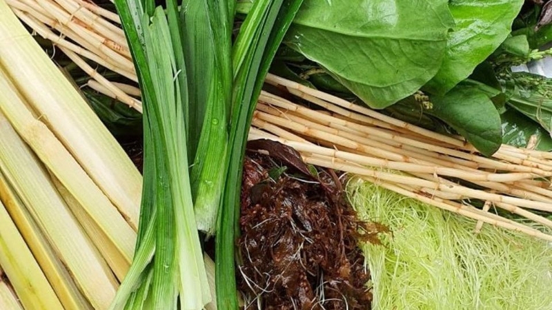 Bước 1: Sơ chế nguyên liệu và đun nước sâm