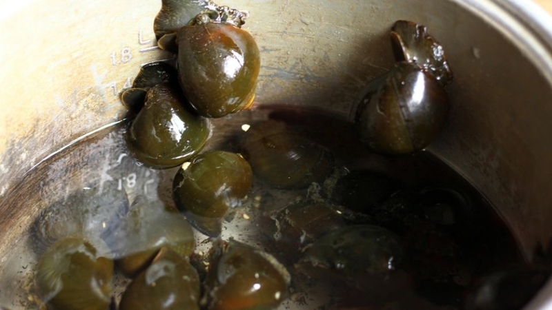 cách làm ốc nấu thả 2