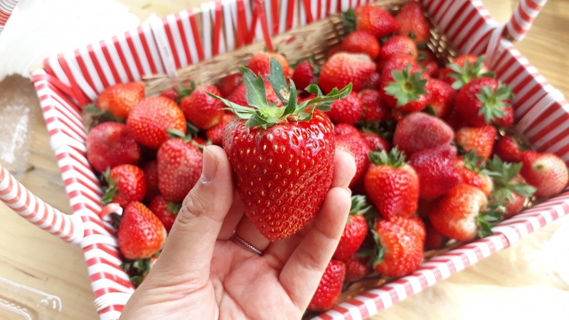 Cách làm sinh tố lựu - ảnh 18