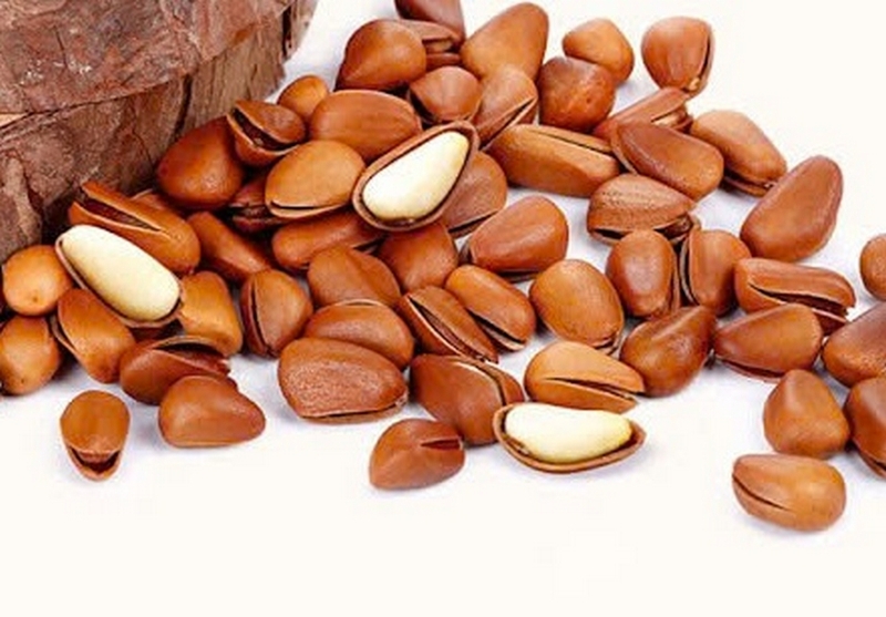 Cách làm sữa hạt thông ảnh 1
