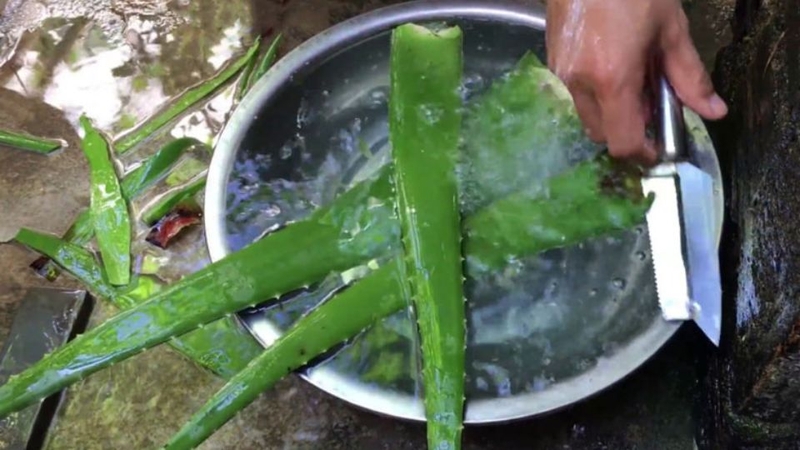 Bước 1: Chuẩn bị nha đam