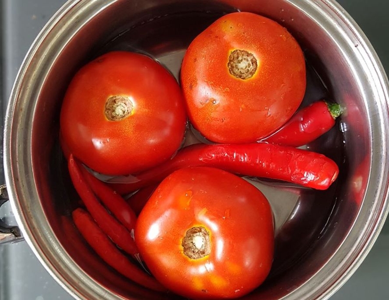 so che ot và ca chua