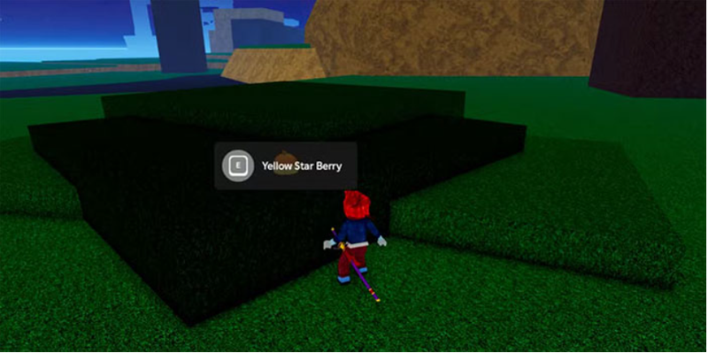 cach thu thap berry trong blox fruits