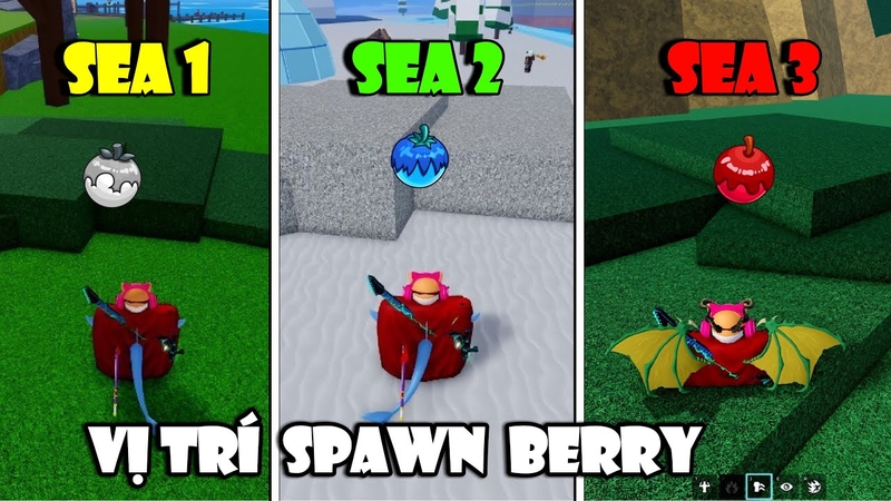 luu y khi lay berry trong blox fruits