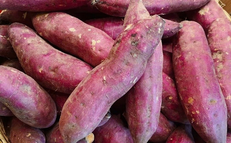 Khoai lang – “kem chống nắng tự nhiên” từ thực vật