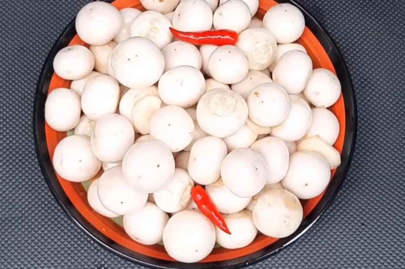 Bảo quản và thưởng thức