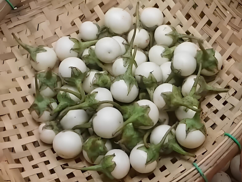Cách chọn mua cà pháo tươi ngon