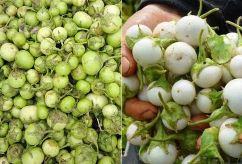 cách muối cà pháo miền Bắc ảnh 5