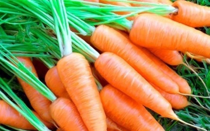 cách muối dưa cải bắp 4