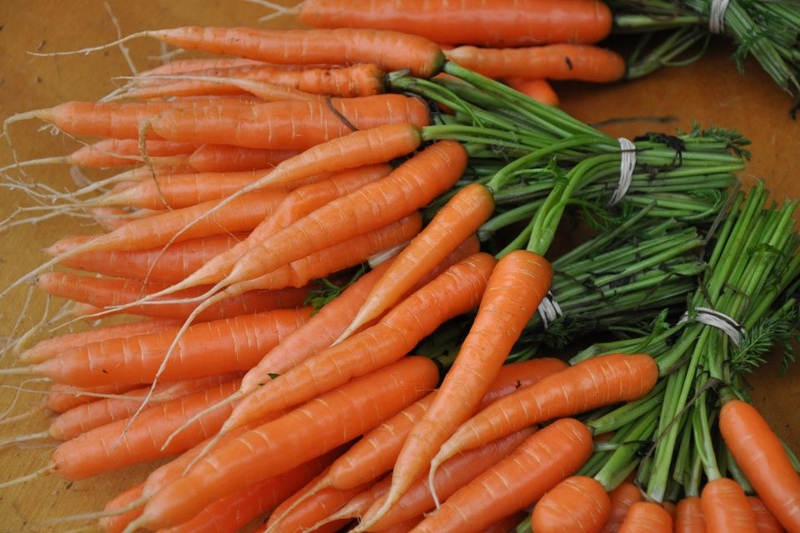 cách nấu bánh canh bò viên (ảnh 3)