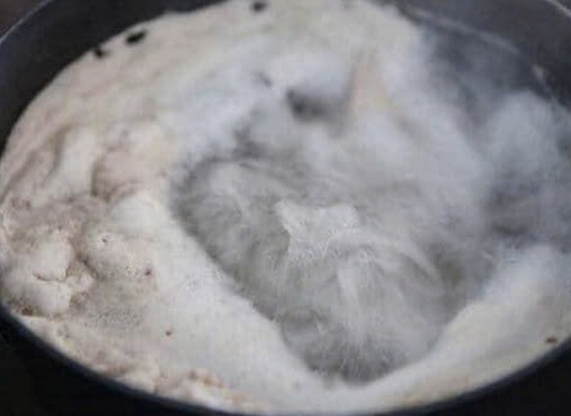 cách nấu canh cá dọc mùng ảnh 6