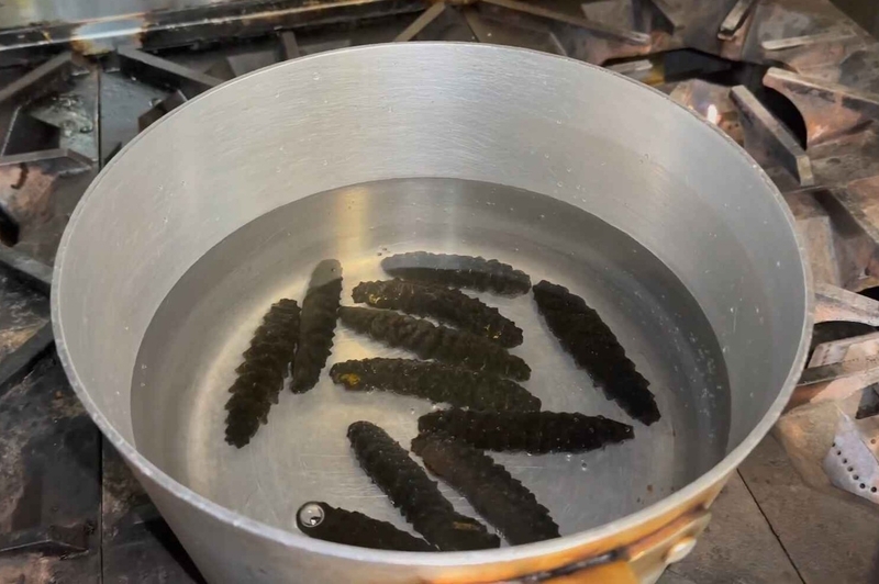 cách nấu hải sâm hầm thuốc bắc 5