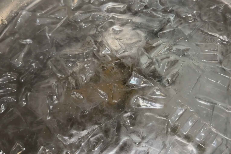 cách nấu hải sâm hầm thuốc bắc 6