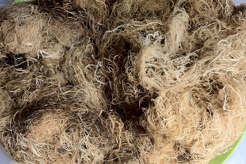 Cách nấu xu xoa 2