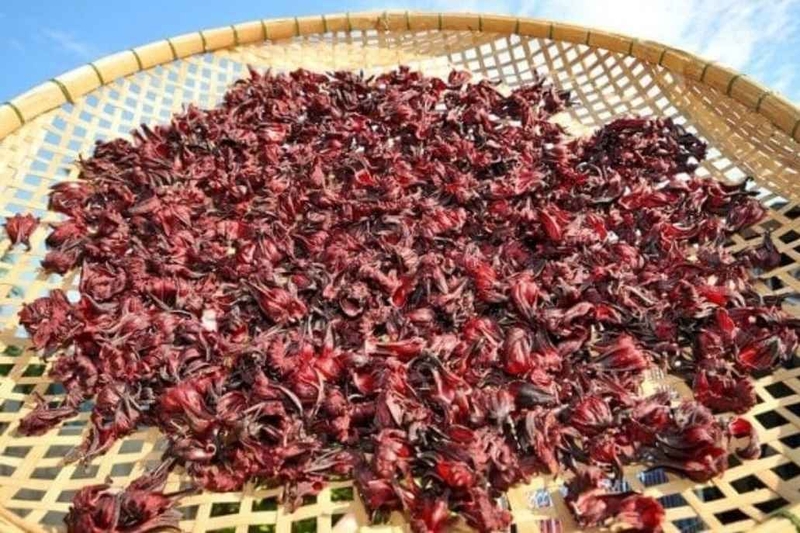 cách ngâm rượu atiso đỏ 4