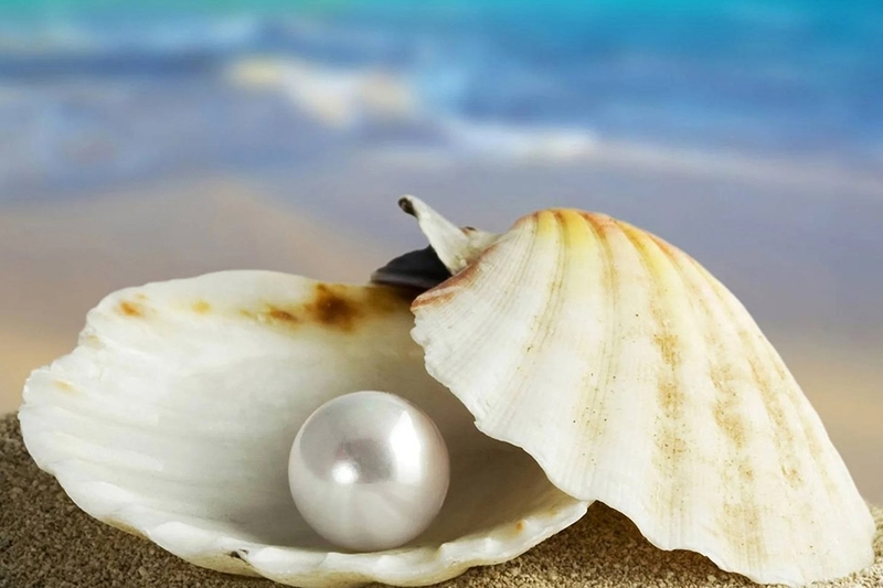 Cách phân biệt ngọc trai thật giả 3